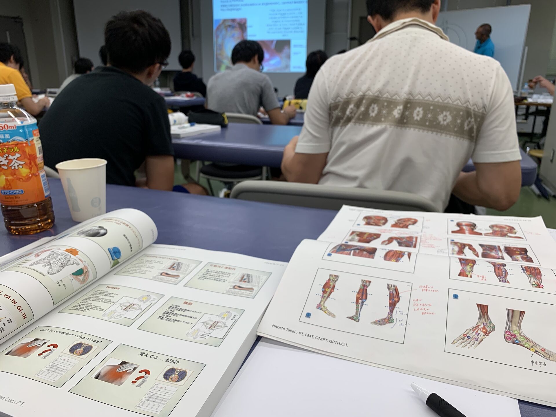 筋膜の最新の知見② 問題なしと言われたけど、苦しんでいる方へ！