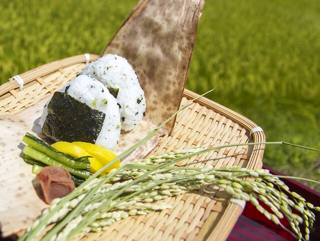 7月の栄養コンサルティング  〜暑さに負けない食事とは〜