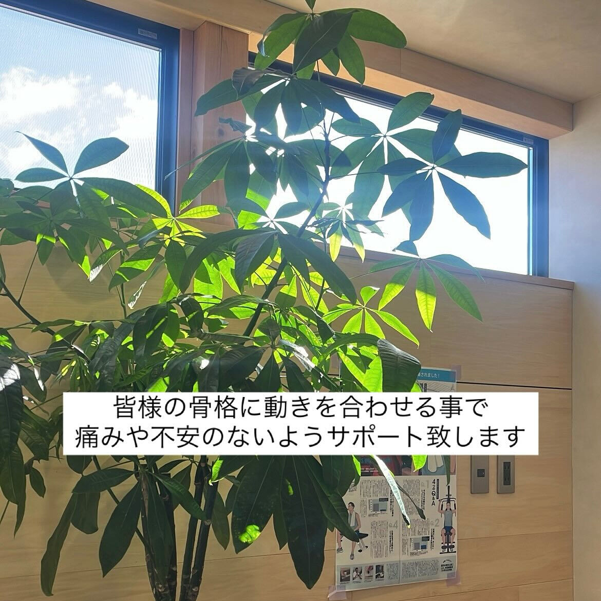 こんにちは！