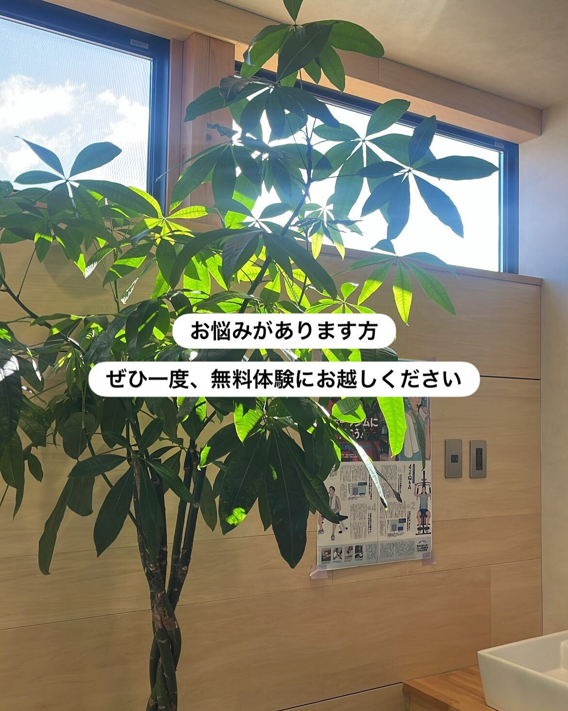 ―――――――――